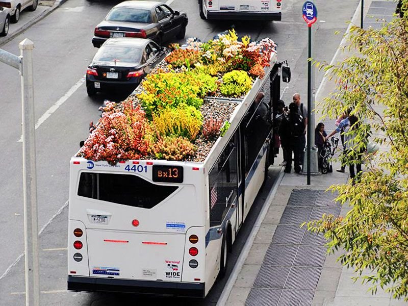phytokinetic bus