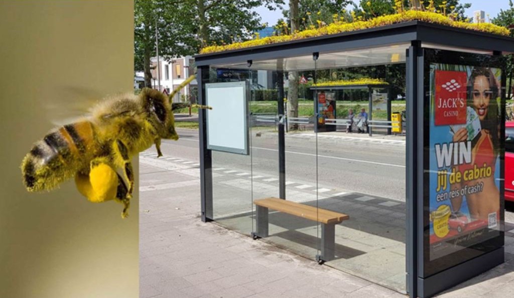 Zastávky MHD se zelenou střechou
